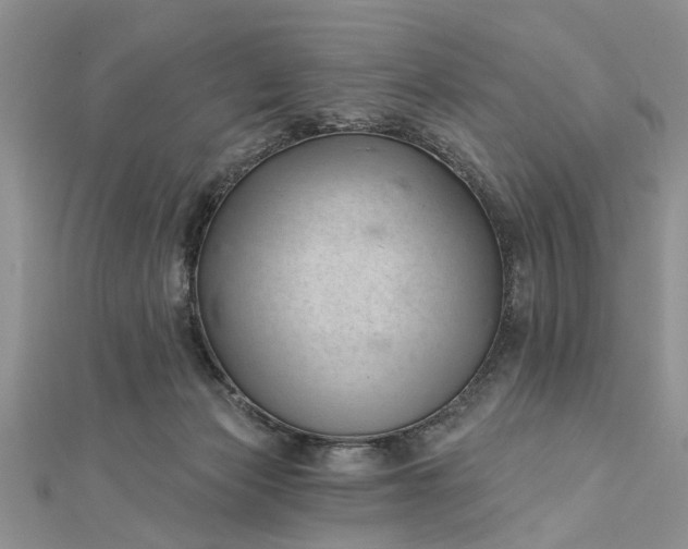 X0000112460173200908311336