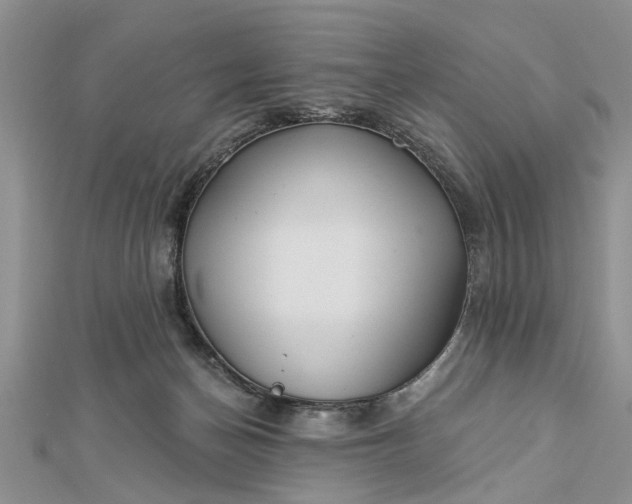 X0000112460174200908311336