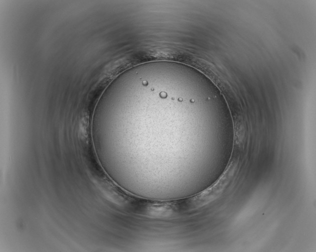 X0000112460175200908311336