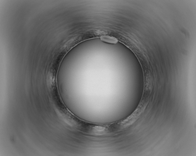 X0000112460176200908311336