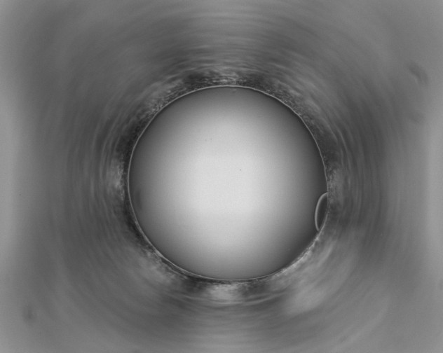 X0000112460178200908311336