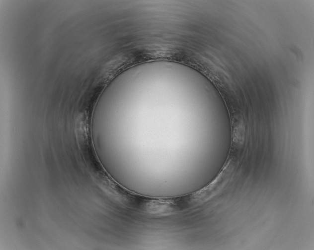 X0000112460179200908311336