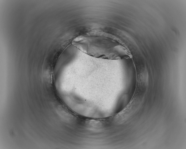 X0000112460180200908311336