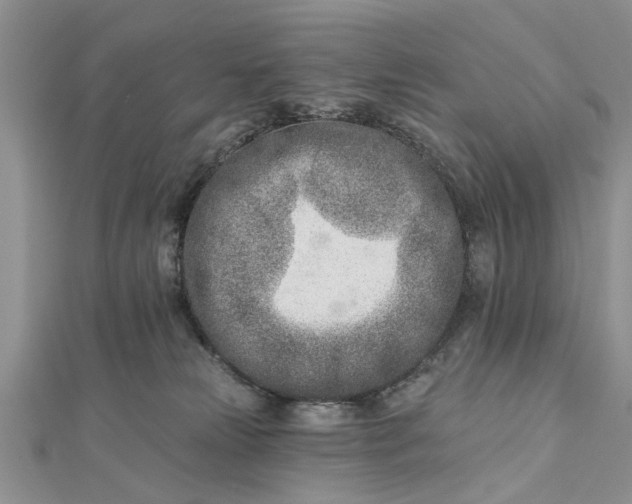 X0000112460181200908311337