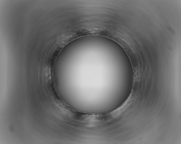 X0000112460182200908311337