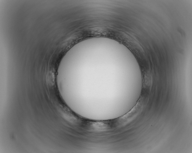 X0000112460183200908311337