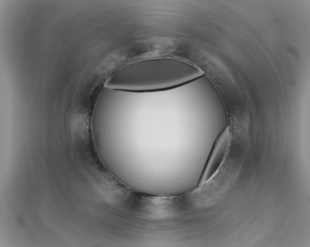 X0000112460184200908311337