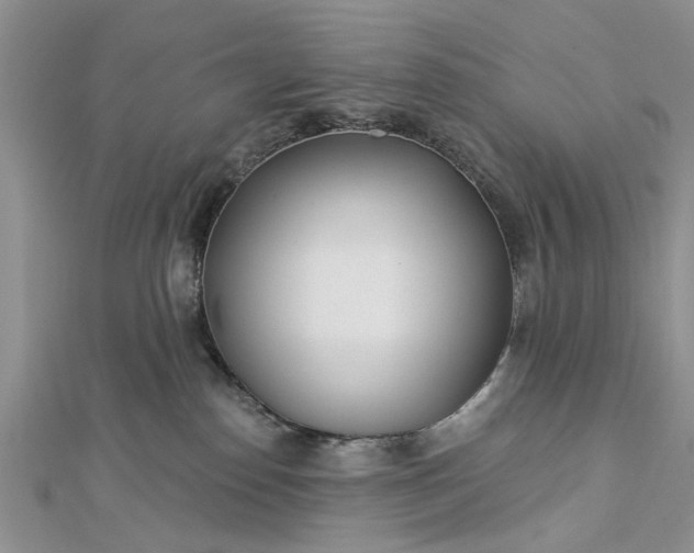 X0000112460186200908311337