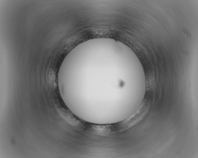 X0000112460187200908311337