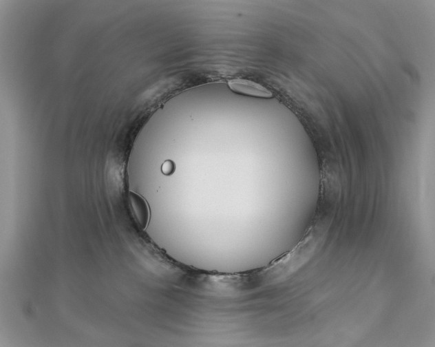 X0000112460188200908311337