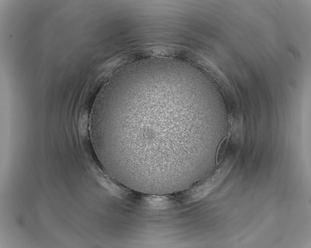 X0000112460189200908311337