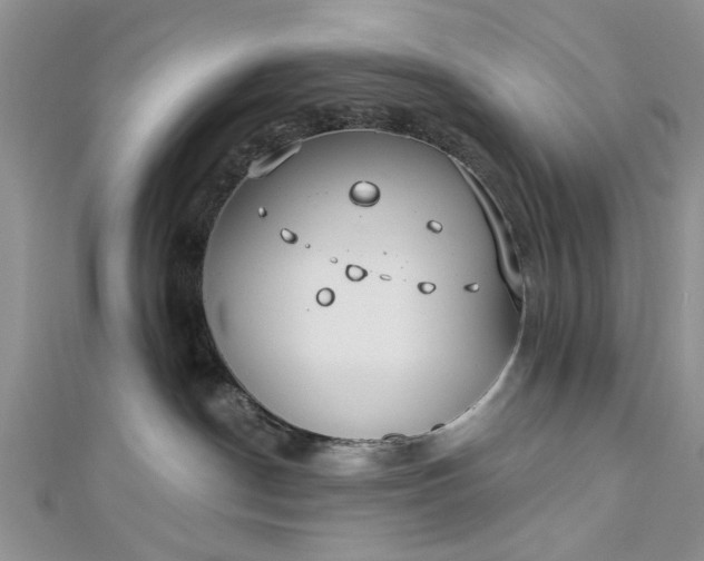 X0000112460190200908311337