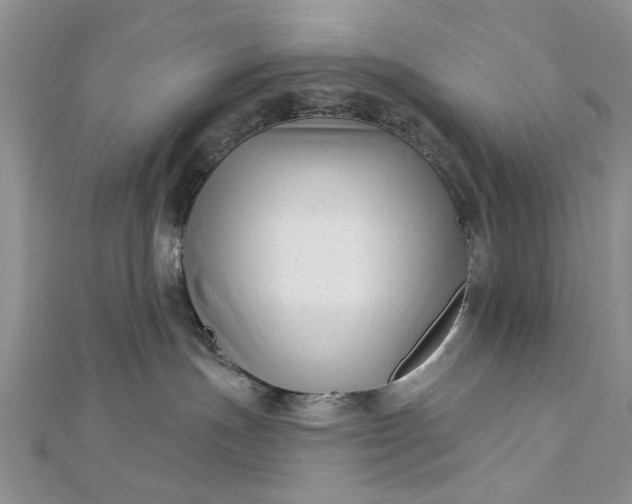 X0000112460191200908311337