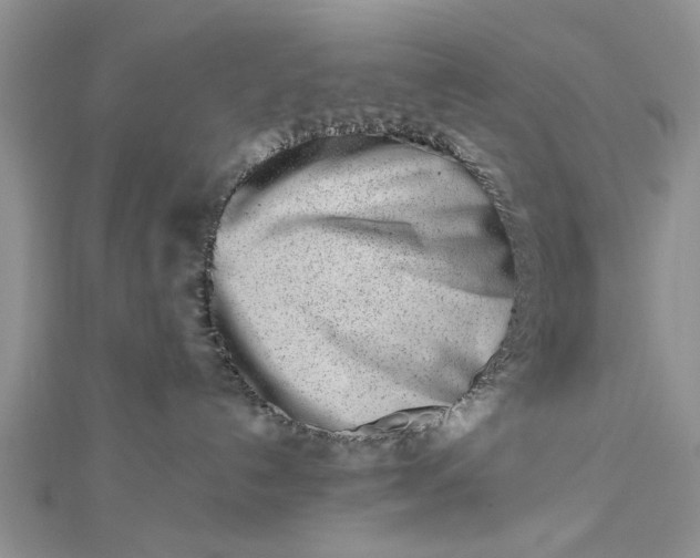 X0000112460192200908311337