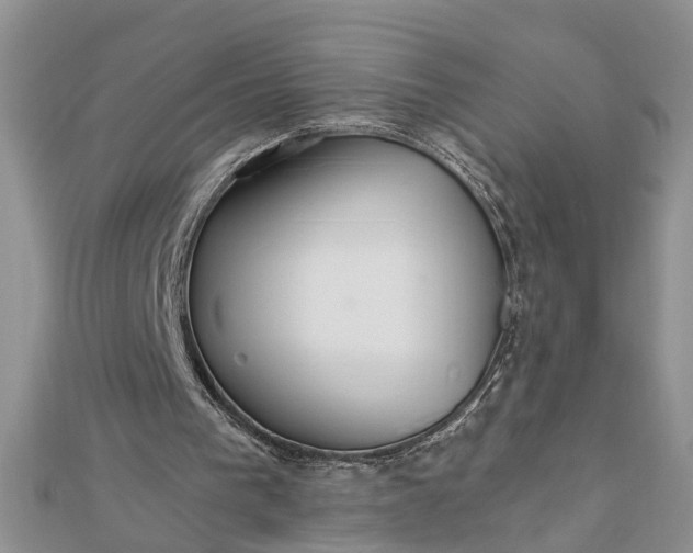 X0000112460193200908311336