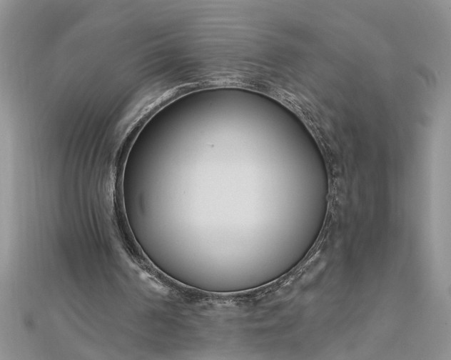 X0000112460194200908311336