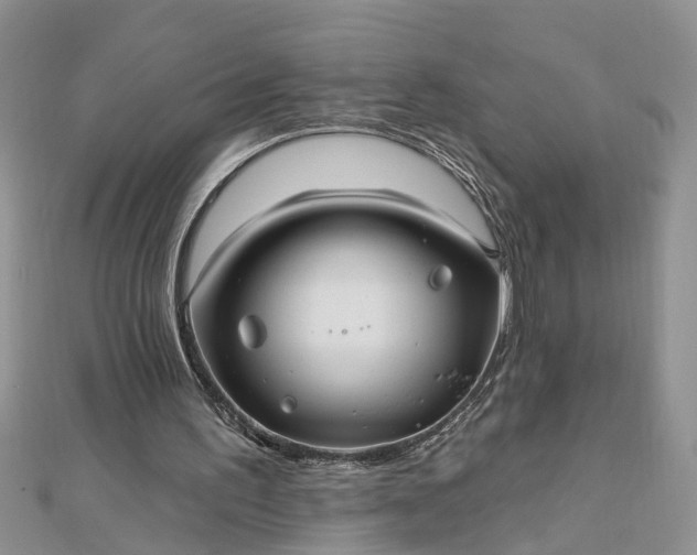 X0000112460195200908311336