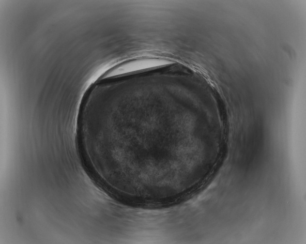 X0000112460196200908311336