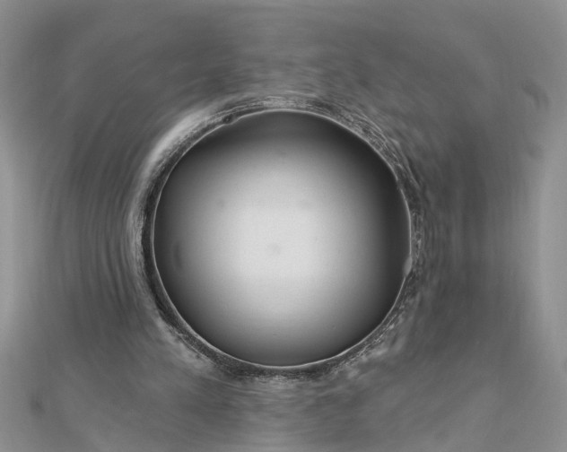 X0000112460197200908311336