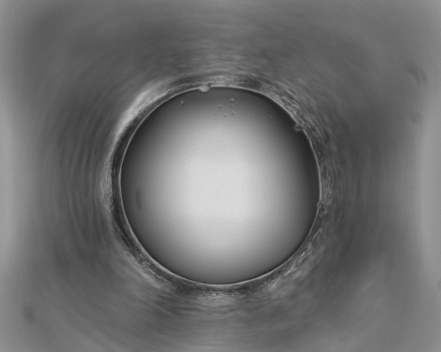 X0000112460198200908311336