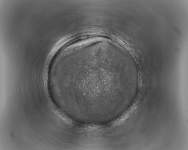 X0000112460199200908311336