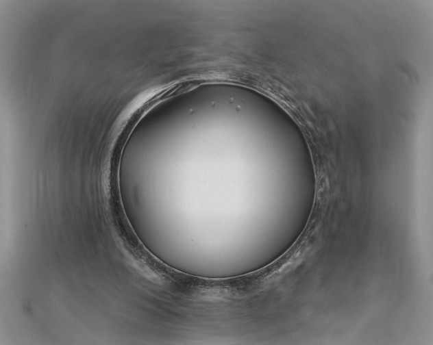 X0000112460200200908311336