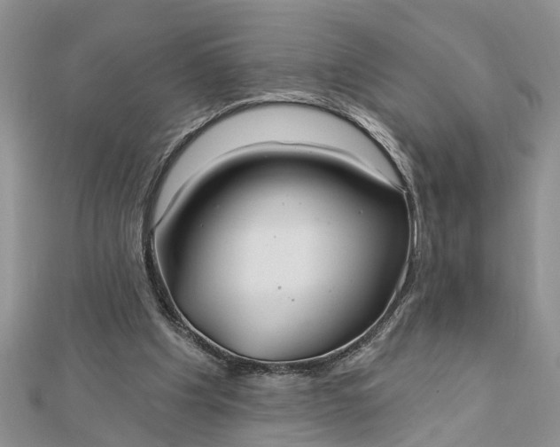 X0000112460201200908311336