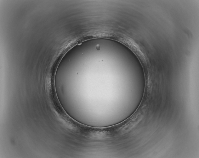 X0000112460202200908311336