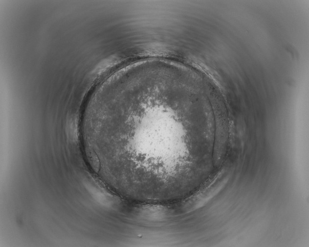 X0000112460203200908311336