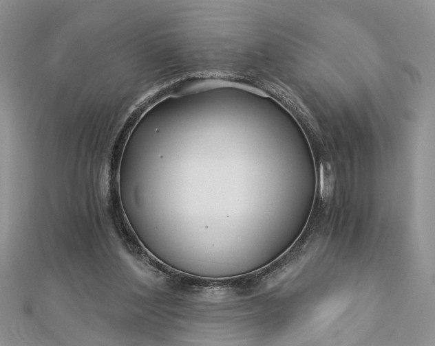 X0000112460204200908311336