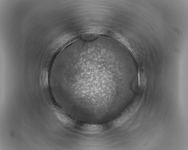 X0000112460205200908311336