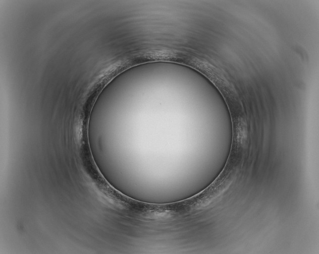 X0000112460206200908311336