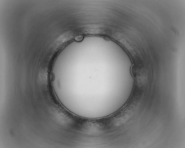 X0000112460207200908311336