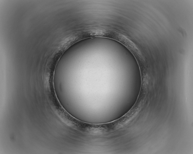 X0000112460209200908311336