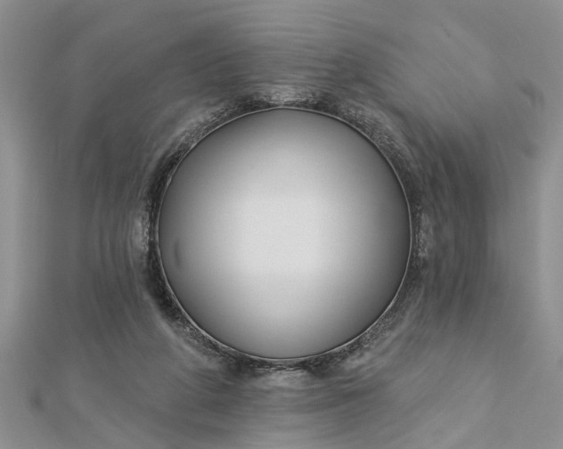 X0000112460210200908311336