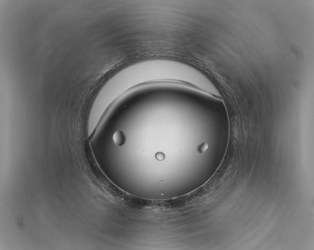 X0000112460211200908311336