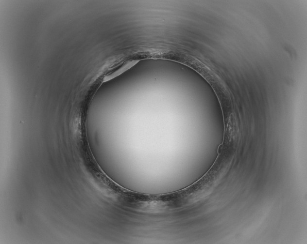 X0000112460212200908311336