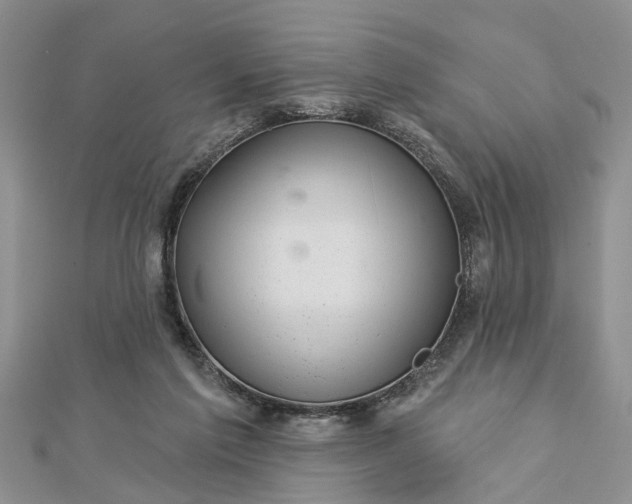 X0000112460213200908311336