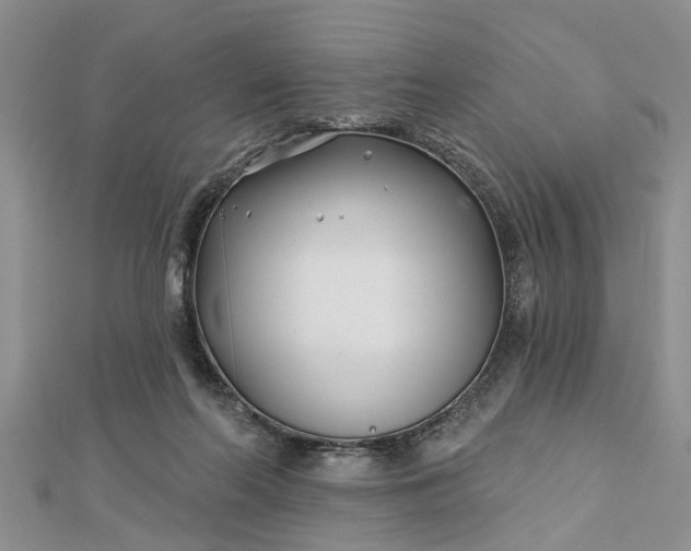 X0000112460214200908311336