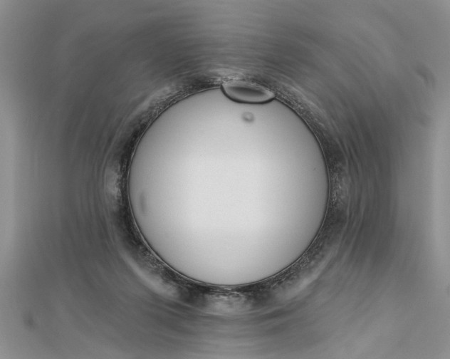 X0000112460215200908311336