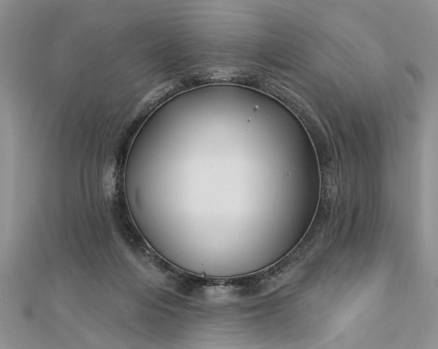 X0000112460216200908311336