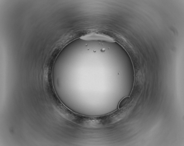 X0000112460217200908311336