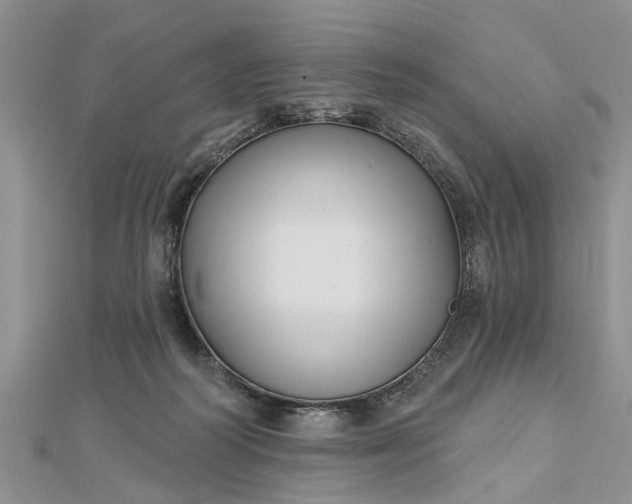 X0000112460218200908311336