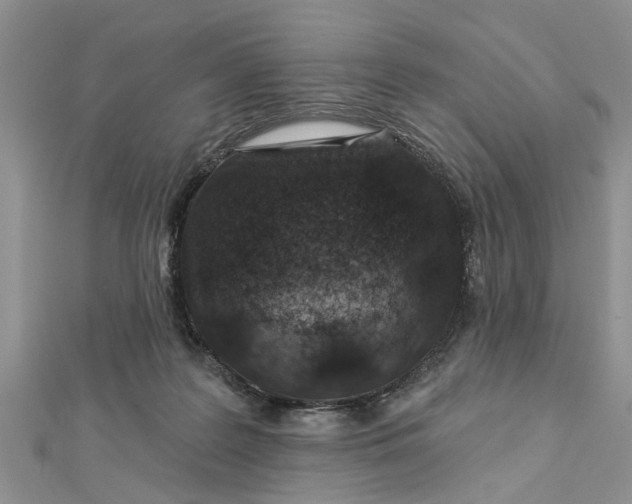 X0000112460219200908311336