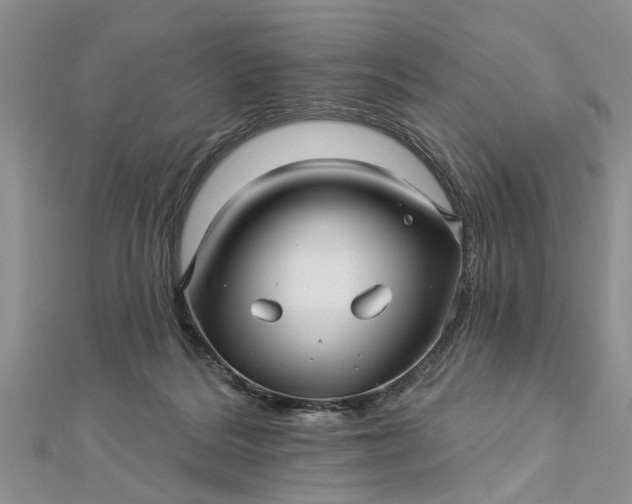 X0000112460220200908311336