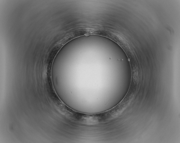 X0000112460221200908311336