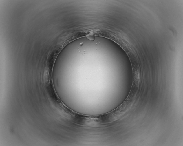 X0000112460222200908311336