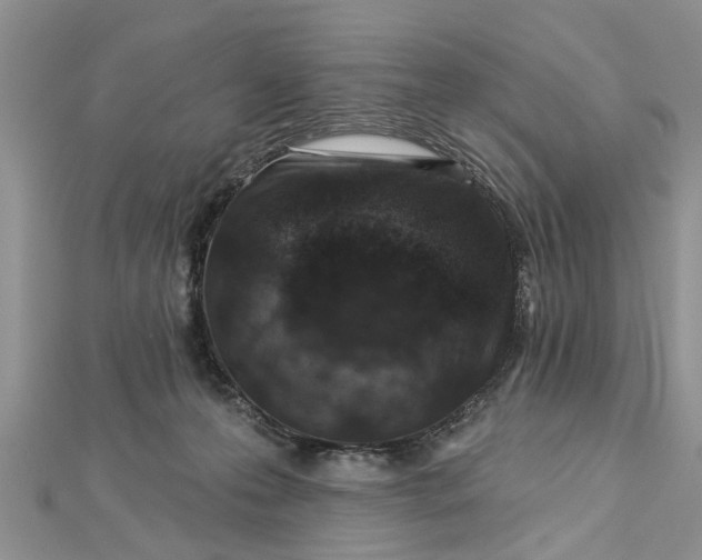 X0000112460223200908311336