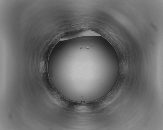 X0000112460224200908311336