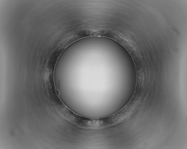 X0000112460225200908311336